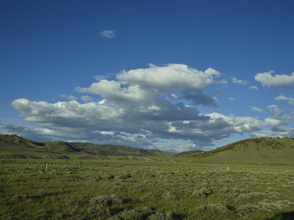A buck-and-rail fence along a spring creek in a Jackson Hole pasture, the Teton Range behind